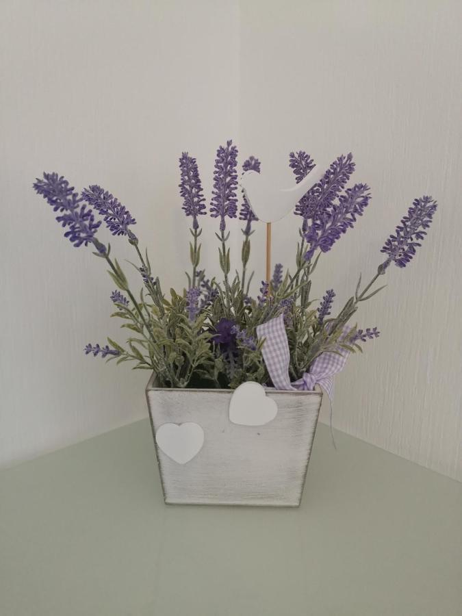 Ferienwohnung Lavanda 鲁斯特 外观 照片